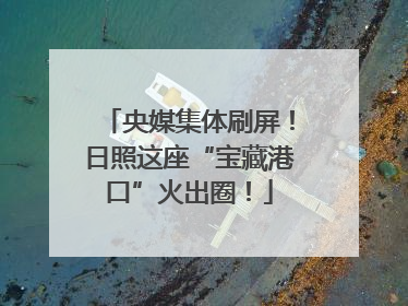 央媒集体刷屏！日照这座“宝藏港口”火出圈！