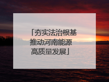 夯实法治根基 推动河南能源高质量发展