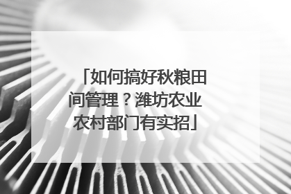 如何搞好秋粮田间管理？潍坊农业农村部门有实招