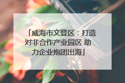 威海市文登区：打造对非合作产业园区 助力企业抱团出海