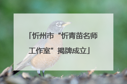 忻州市“忻青苗名师工作室”揭牌成立