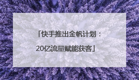 快手推出金帆计划：20亿流量赋能获客