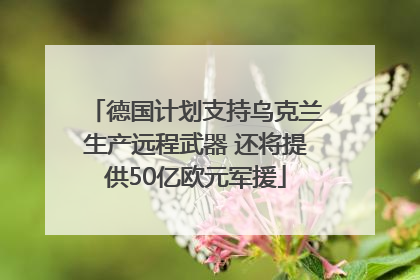 德国计划支持乌克兰生产远程武器 还将提供50亿欧元军援