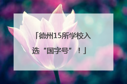 德州15所学校入选“国字号”！