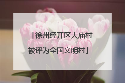 徐州经开区大庙村被评为全国文明村