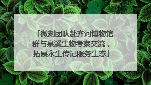 微刻团队赴齐河博物馆群与泉溪生物考察交流，拓展永生传记服务生态