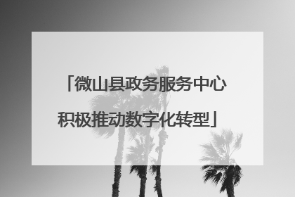微山县政务服务中心积极推动数字化转型