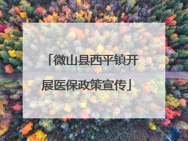 微山县西平镇开展医保政策宣传