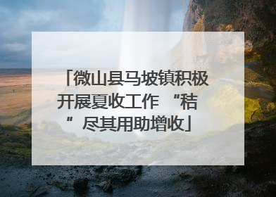 微山县马坡镇积极开展夏收工作 “秸”尽其用助增收