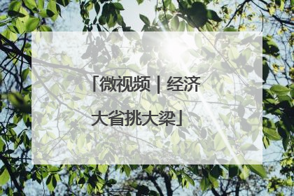 微视频｜经济大省挑大梁