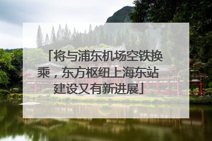 将与浦东机场空铁换乘，东方枢纽上海东站建设又有新进展