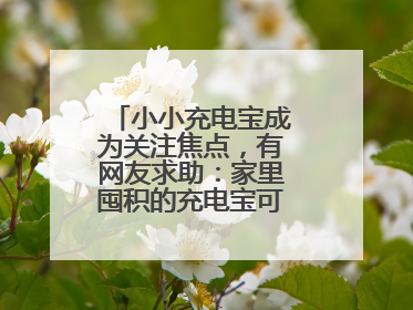 小小充电宝成为关注焦点，有网友求助：家里囤积的充电宝可以如何处理？