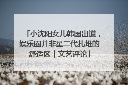 小沈阳女儿韩国出道，娱乐圈并非星二代扎堆的舒适区｜文艺评论