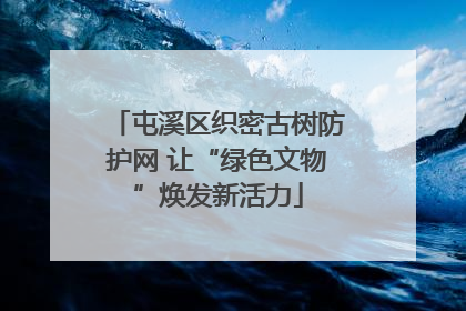 屯溪区织密古树防护网 让“绿色文物”焕发新活力