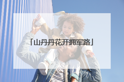 山丹丹花开拥军路