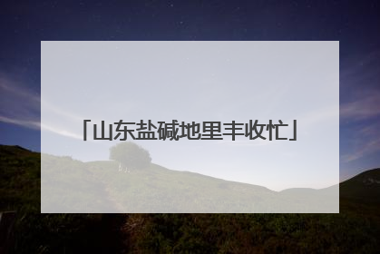 山东盐碱地里丰收忙