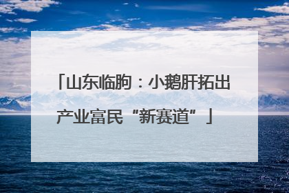山东临朐：小鹅肝拓出产业富民“新赛道”
