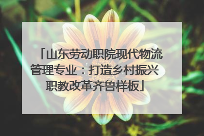 山东劳动职院现代物流管理专业：打造乡村振兴职教改革齐鲁样板