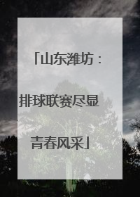 山东潍坊：排球联赛尽显青春风采