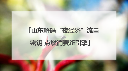山东解码“夜经济”流量密钥 点燃消费新引擎