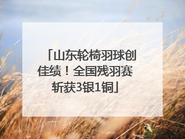 山东轮椅羽球创佳绩！全国残羽赛斩获3银1铜