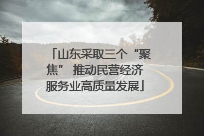 山东采取三个“聚焦” 推动民营经济服务业高质量发展