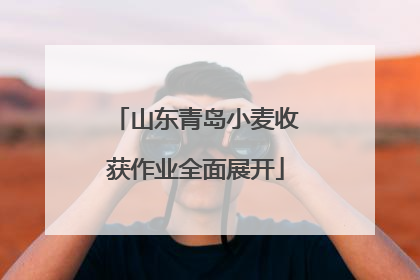 山东青岛小麦收获作业全面展开