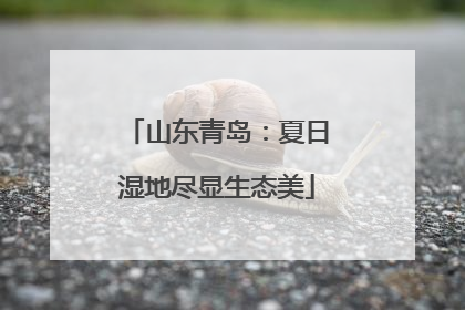 山东青岛：夏日湿地尽显生态美