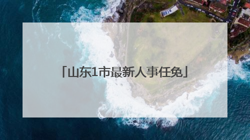 山东1市最新人事任免