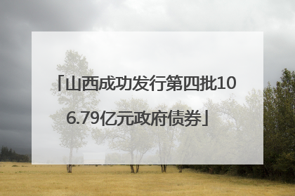 山西成功发行第四批106.79亿元政府债券