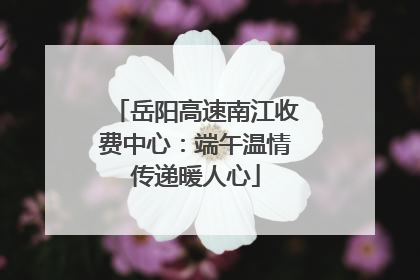 岳阳高速南江收费中心：端午温情传递暖人心