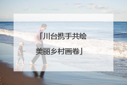 川台携手共绘美丽乡村画卷