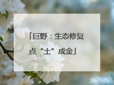 巨野：生态修复点“土”成金