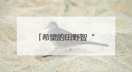 希望的田野智“绘”好“丰”景 “三夏”生产向“新”而行