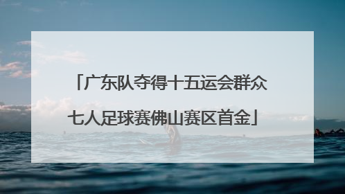 广东队夺得十五运会群众七人足球赛佛山赛区首金