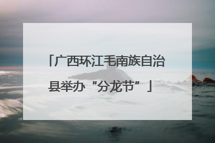 广西环江毛南族自治县举办“分龙节”