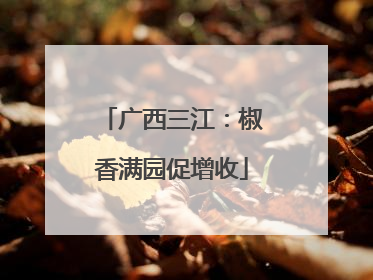 广西三江：椒香满园促增收