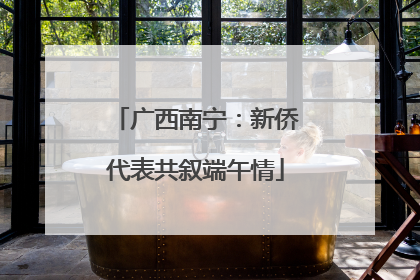 广西南宁：新侨代表共叙端午情