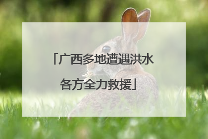 广西多地遭遇洪水 各方全力救援