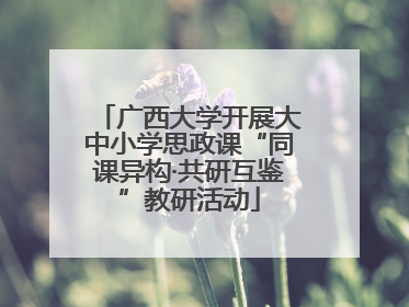 广西大学开展大中小学思政课“同课异构·共研互鉴”教研活动