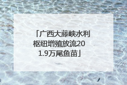 广西大藤峡水利枢纽增殖放流201.9万尾鱼苗