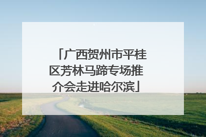 广西贺州市平桂区芳林马蹄专场推介会走进哈尔滨