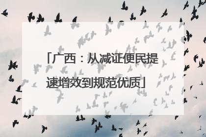 广西：从减证便民提速增效到规范优质