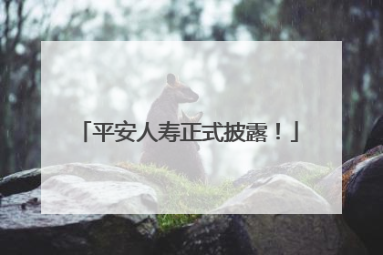 平安人寿正式披露！