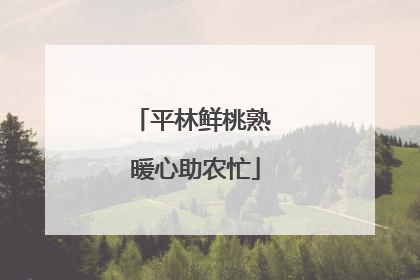 平林鲜桃熟 暖心助农忙