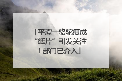平潭一骆驼瘦成“纸片”引发关注！部门已介入