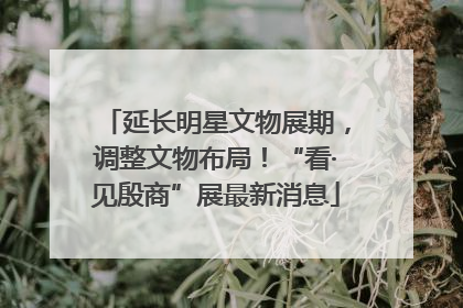 延长明星文物展期，调整文物布局！“看·见殷商”展最新消息