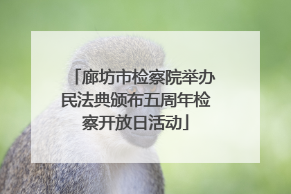 廊坊市检察院举办民法典颁布五周年检察开放日活动