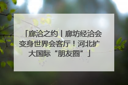 廊洽之约丨廊坊经洽会变身世界会客厅！河北扩大国际“朋友圈”