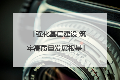 强化基层建设 筑牢高质量发展根基